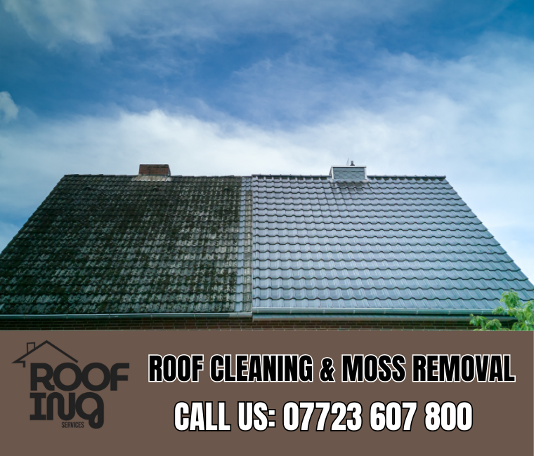 Roof Cleaning in Bude